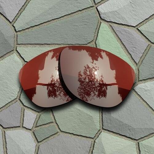 Bronze Brown Sunglasses Polarized Replacement Lenses for Oakley Frogskins