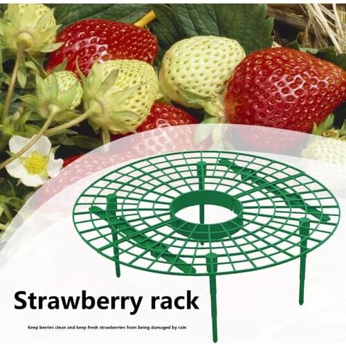 1Pc Garden Planting Rack Strawberry Stand Fruit Plant Support Climbing Vine Props Flower Pillar Plant Bracket Greenhouse Rack