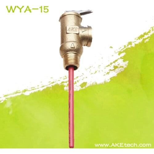 90 AKE Relief Valve Safety Valve DN15 G1/2" WYA-15-0.9Mpa-90℃ Temperature and Pressure Safety Valve