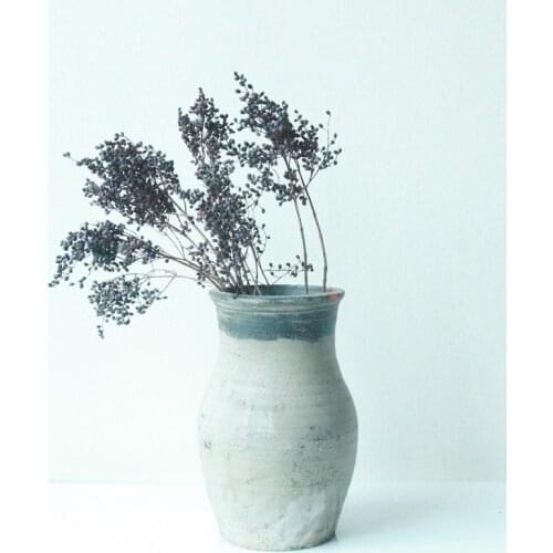 150g Artificial Plants For Large Decoration Natural Dried Fruits Preserved Plant Black Holly Patio Nordic Home Decor Modern