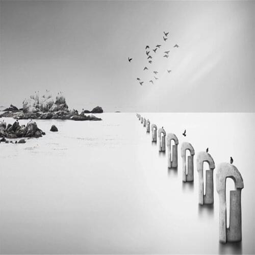 Scenery wallpapers Abstract artistic conception black and white sea birds wallpaper background wall