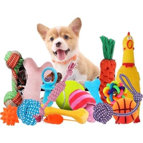 Pet Toy Dog Set Toy Sounding Toy Dog Training Dog Toys Screaming Chicken Squeeze Sound Dog Toys