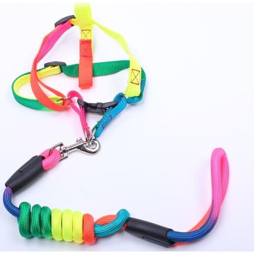 Small Dog Pet Collar Harness Leash Set Pet Puppy Walking Strap Set Adjustable for Dogs Cats Small Medium