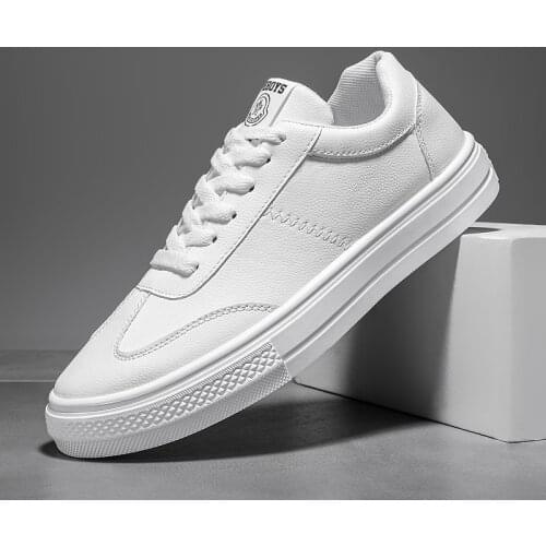 Designer Spring Breathable Mens Casual Shoes Lightweight Skateboarding Shoes for Male Fashion Lace-up Sneakers Flat Footwear