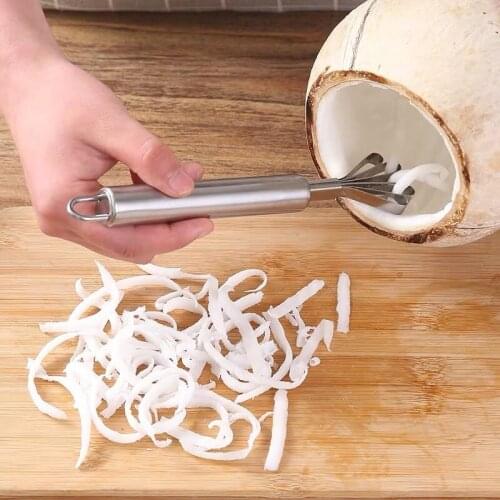 430 Fish Scale Planer Stainless Steel Coconut Planing Knife Coconut Planing Seed Remover Grater
