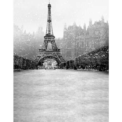 VinylBDS 10x10ft Wedding Eiffel Tower Backgrounds Winter Snow Tower Photography Backdrops Old Master Background Muslin 3100 LK