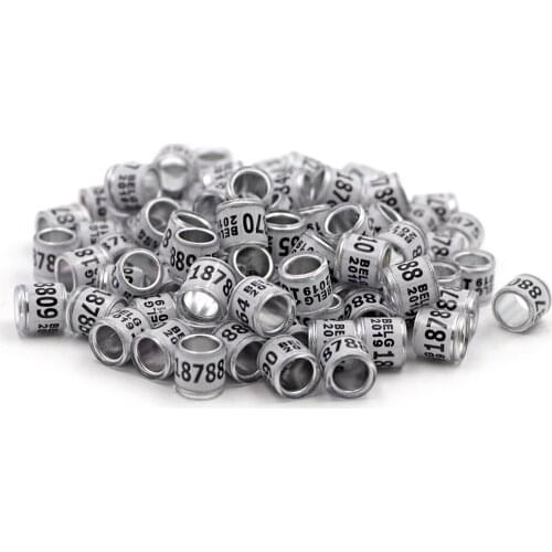 2020 Gray Pigeon Foot Ring With Word Earrings BELG 100 pcs Quality Durable Bird Ring Pheasant Foot Ring Bird Tools Wholesale