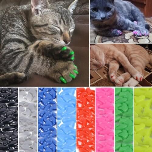Wholesale Cats Kitten Paws Grooming Nail Claw Caps + Adhesive Glue + Applicator Rubber Pet Nail Cover/Paws Caps Pet Cat Supplies
