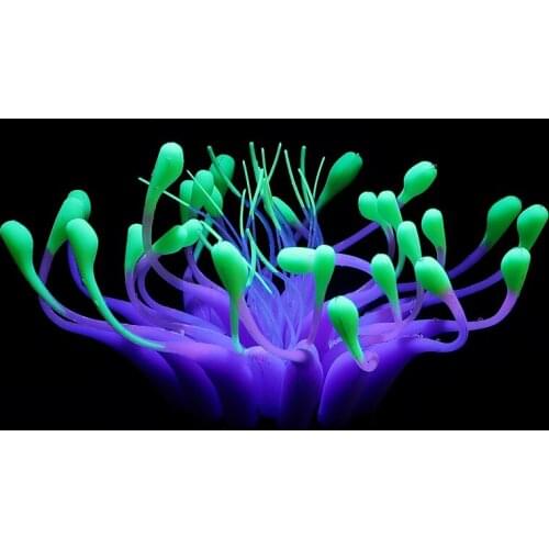 Colorful Silica Gel Artificial Coral Plant Fish Tank Underwater Decorations Water Grass Ornament
