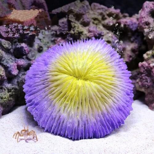 Artificial Resin Coral Reef Landscaping Shell Fish Tank Decoration Aquarium Decoration