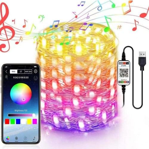 DC 5V USB Bluetooth App Led String Indoor Festival Decoration Fairy Tale Fairy Light Music Synchronous Time With memory function