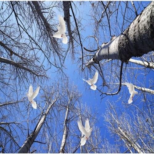 Dropship Colomac Blue Wallpaper Elegant Sky Woods Custom Mural Wallpaper living Room papel Tapiz Para Pared Home Improvement