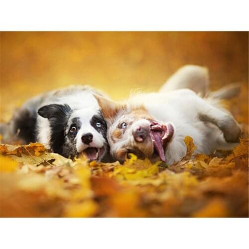 Animal Border Collie DIY Embroidery Cross Stitch 11CT Kits Needlework Craft Set Cotton Thread Printed Canvas Dropshipping