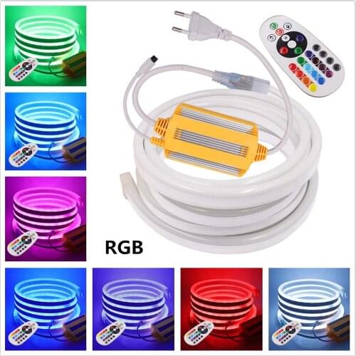 220V RGB Neon Strip Light Waterproof IP67 Outdoor Lighting 2835 Single Color 5050 RGB LED Strip Flexible Led Rope Neon Strip