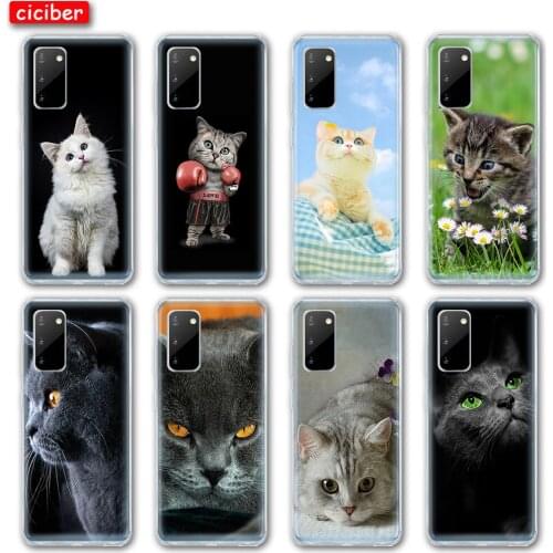 Cat Case For Samsung S21 A51 S10 S9 S8 S20 FE Plus Ultra A50 A71 A70 A21S A72 A52 A02S A12 A32 NOTE 20 10 9 Plus Soft TPU Fundas