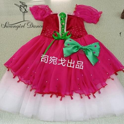 Child Girls Red Chipollino Variation Professional Competition Ballet Dress Tutu Costumes BT4045