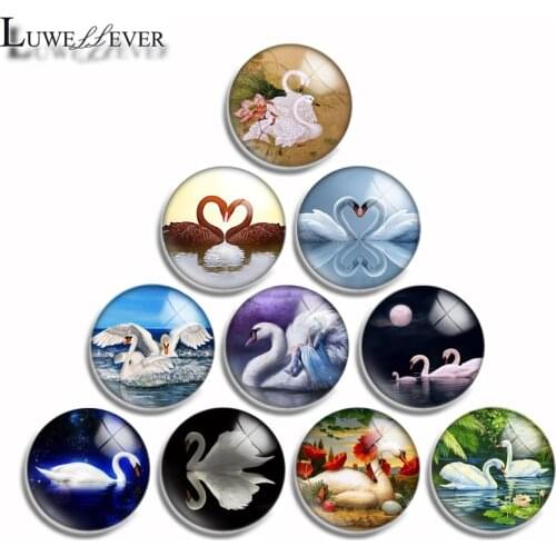12mm 10mm 16mm 20mm 25mm 30mm 516 Beautiful Swan Mix Round Glass Cabochon Jewelry Finding 18mm Snap Button Charm Bracelet