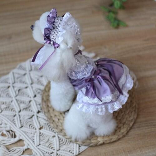 Dog Princess Skirt Clothes Puppy Clothing Cat Dog Dress Chihuahua Maltese Yorkshire Pomeranian Shih Tzu Bichon Poodle Pomeranian