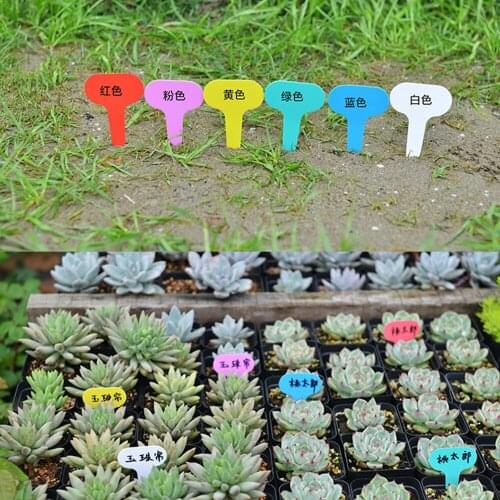 Garden Nursery Label Markers Nursery Pots Seedling Labels PP Plastic Plant Tags Plant Tags T-type 100Pcs Tray Mark Tools