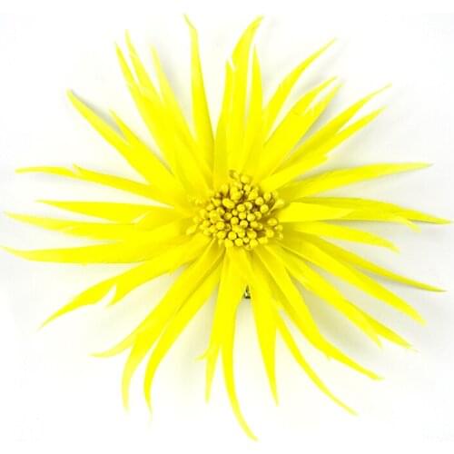 Beautiful Yellow Goose Feathers DIY Wedding Corsage Decoration Carnival Clothes Flower Accessories Color Plumes Crafts Wholesale