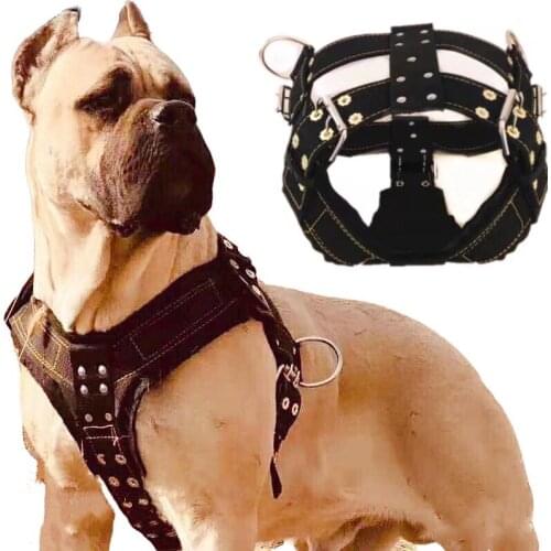 Dog Harness For Large Dog,Pit Bull Dog Harness Large Dog Collar Wholesale Leash Dog Vest Collar Fashion Pet Products Accessories