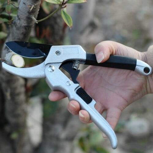 LTZFTL Secateurs