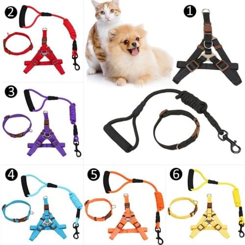 Pet Dog Leash For Small Dogs Cat Harness Collar Puppy Pet Cat Accessories Breakaway Dog Leash Lead Training Collars Adjustable