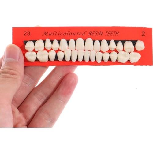 1/10sets Pro Dental Material Plastic Teeth Teaching Model Dedicated Teeth Dental Material Useful Teeth Care Tool