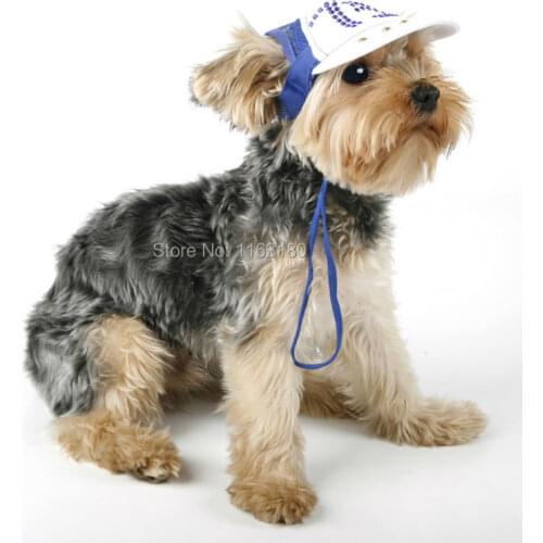 60 pcs/lot Pet Dog Caps Cute Fashion Cat Hats Diamond Caps Sun Hats Baseball Caps Grooming Dogs Suppliers