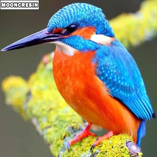 5D Diy Diamond Painting Bird Full Diamond Embroidery Cross Stitch Animal Handicraft Mosaic Diamond Baby Gift Decoration Home