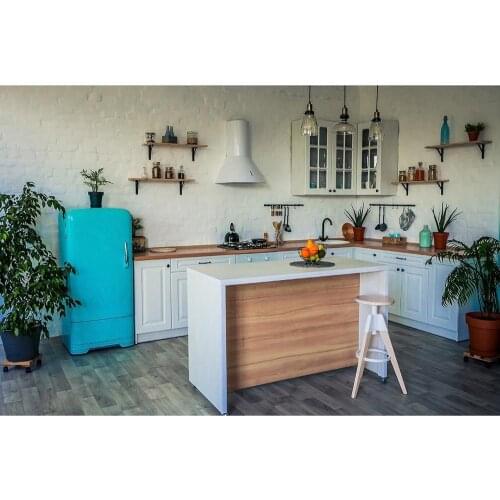 Photo Background Kitchenware Fridge Plant Light Customized Backdrop for Baby Children Family Party Photophone Photography Props