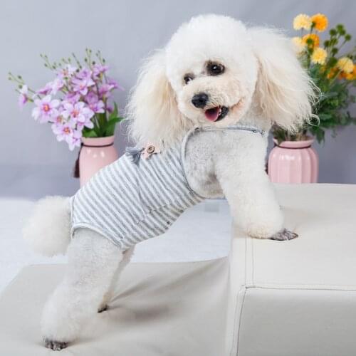 Washable Physiological Pants for Small Dogs Chihuahua Female Dog Dog Dipers Underwear Sanitary Panties Shorts Soft Girl Dogs