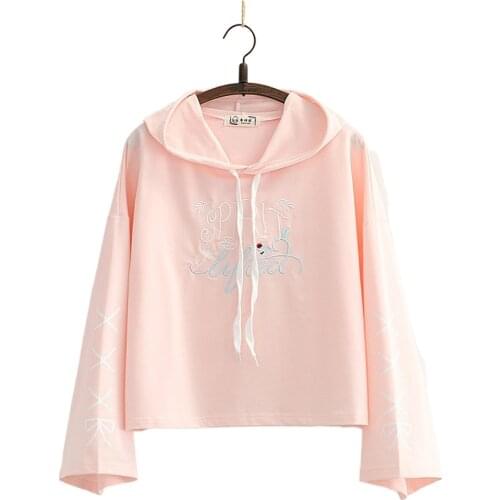 Letter Embroidery Casual Pullover Hooded Sweatshirt Women 2020 Autumn Winter New Korean Flare Sleeve Female Basic Hoodies