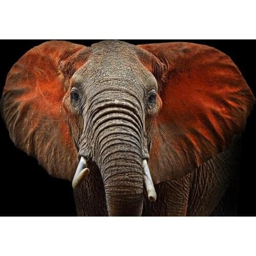 Customized large 3D mural wallpaper elephant wildlife hd background wall