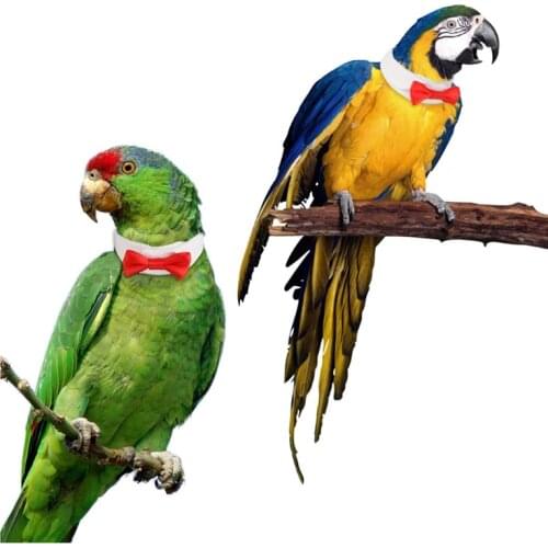 Parrot Bird Clothes Handmade Costume Cute Neck Bow Tie Collar Tie Small Middle Bird Cat Grooming Adjustable Decorate Accessories