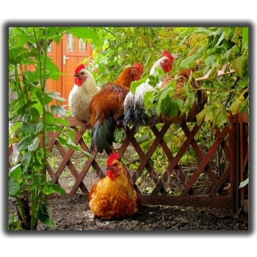 Diamond Mosaic Diy Diamond Embroidery Plant Under Cool Cock & Hen Full Diamond Painting Cross Stitch Rhinestone Home Decorations