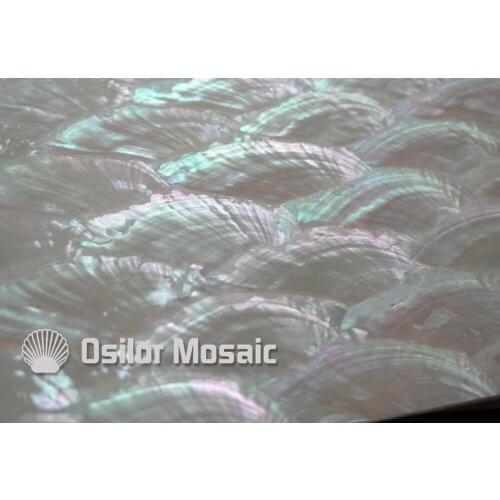 Natural shell laminate for musical instrument and furniture inlay 20pcs/lot