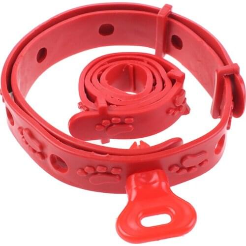 BIGHSM Collars For Cats