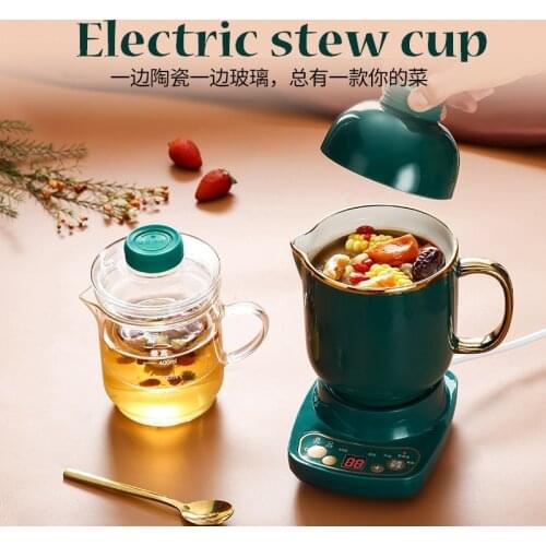 110V American health electric stew cup gift office small tea and porridge heating water cup