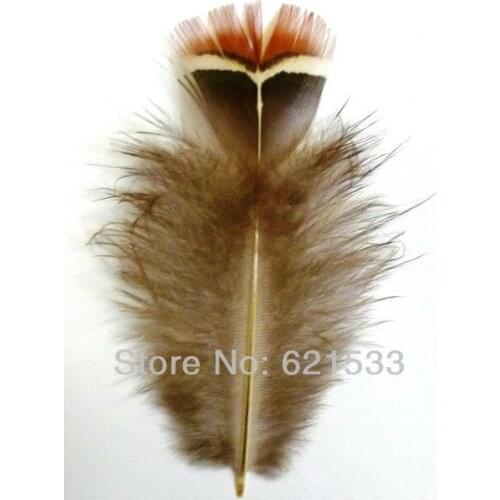 200Pcs/lot 4-7cm Beautiful Rare Red Plumage Lady Amherst Pheasant Feathers,Lady Amherst Pheasant Plumage feathers
