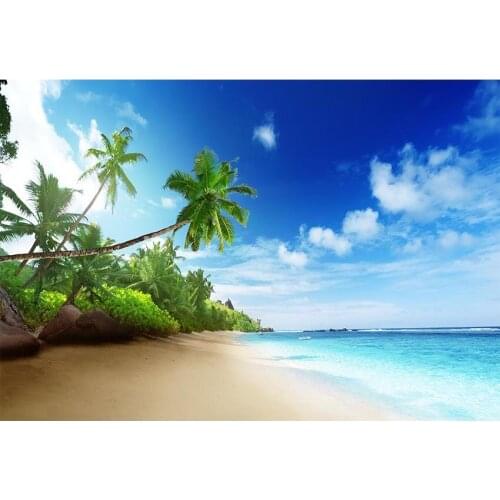 Hawaiian Style Photography Background Blue Sky White Clouds Clear Water Green Palm Trees Bacdrop For Youtube Videos Photo Props