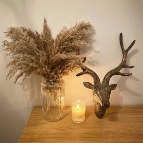 10 Stems Extra Fluffy Raw Color Dried Bouquet Wedding Decor Flower Bunch Natural Plant Home Decor Large Pampas