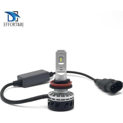 Effort&BJ LED Bulbs H10 (PY20d)