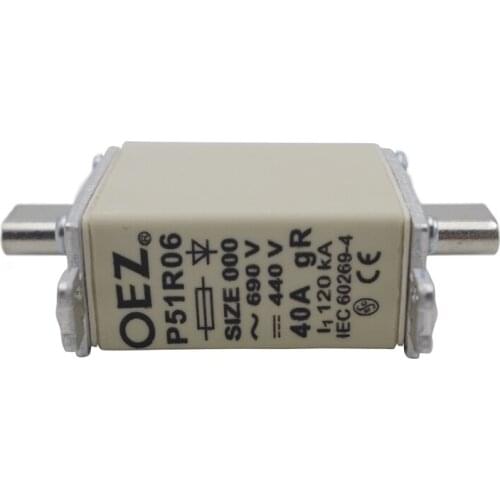 Electrical Equipment Cutout Thermal Fuse P51R06 40A for Short Circuit Protection