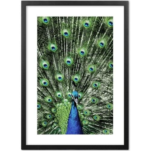 Emerald Feather Animal Photography Nordic Posters And Prints Wall Art Paper Painting Wall Pictures For Living Room Home Decor