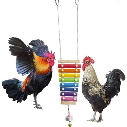Easy to fix Pet Chickens Toy Medium and Large Parrots Toy Percussion Toy Sound Toy for Hen Chickens House TS2 Durable materials
