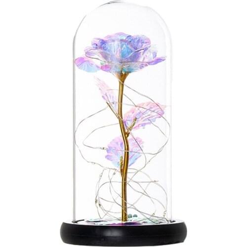 Rose Kit,Colorful Gold Foil Rose and LED Light in Glass Dome,for Home Decor Birthday,Wedding,ValentineS Day