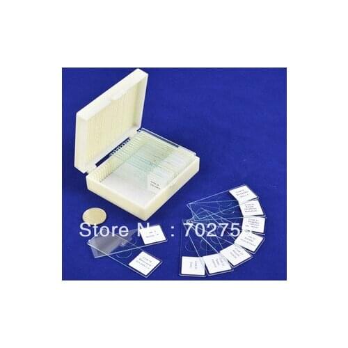 Microscopic Glass Prepared Slide From Factory