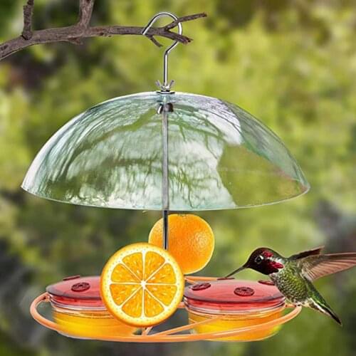 Plastic Hanging Bird Feeder w/ Clear Roof, Squirrel Proof Feeding Station, Garden Hanging Seed Container, Seed Dispenser Decor
