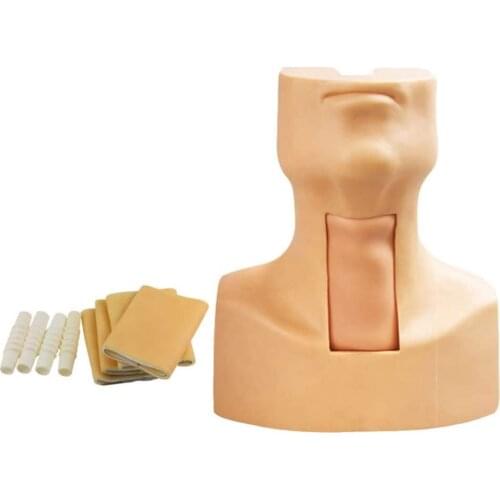 Tracheotomy and Intubation Training Model Tracheotomy Practice Human Trachea Model for Nursing Medicine Training and Teaching
